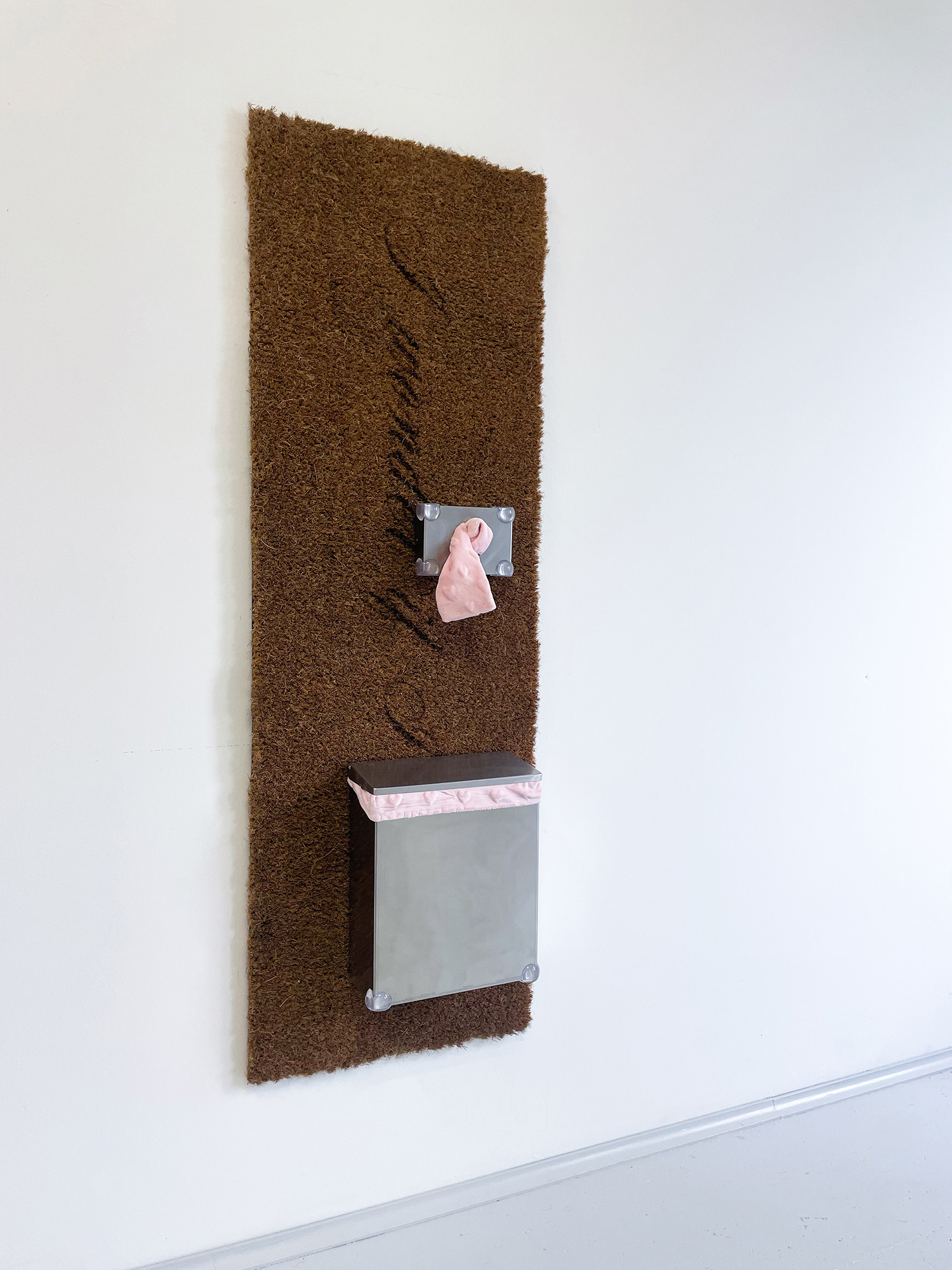 Len Bay poor little dead bird