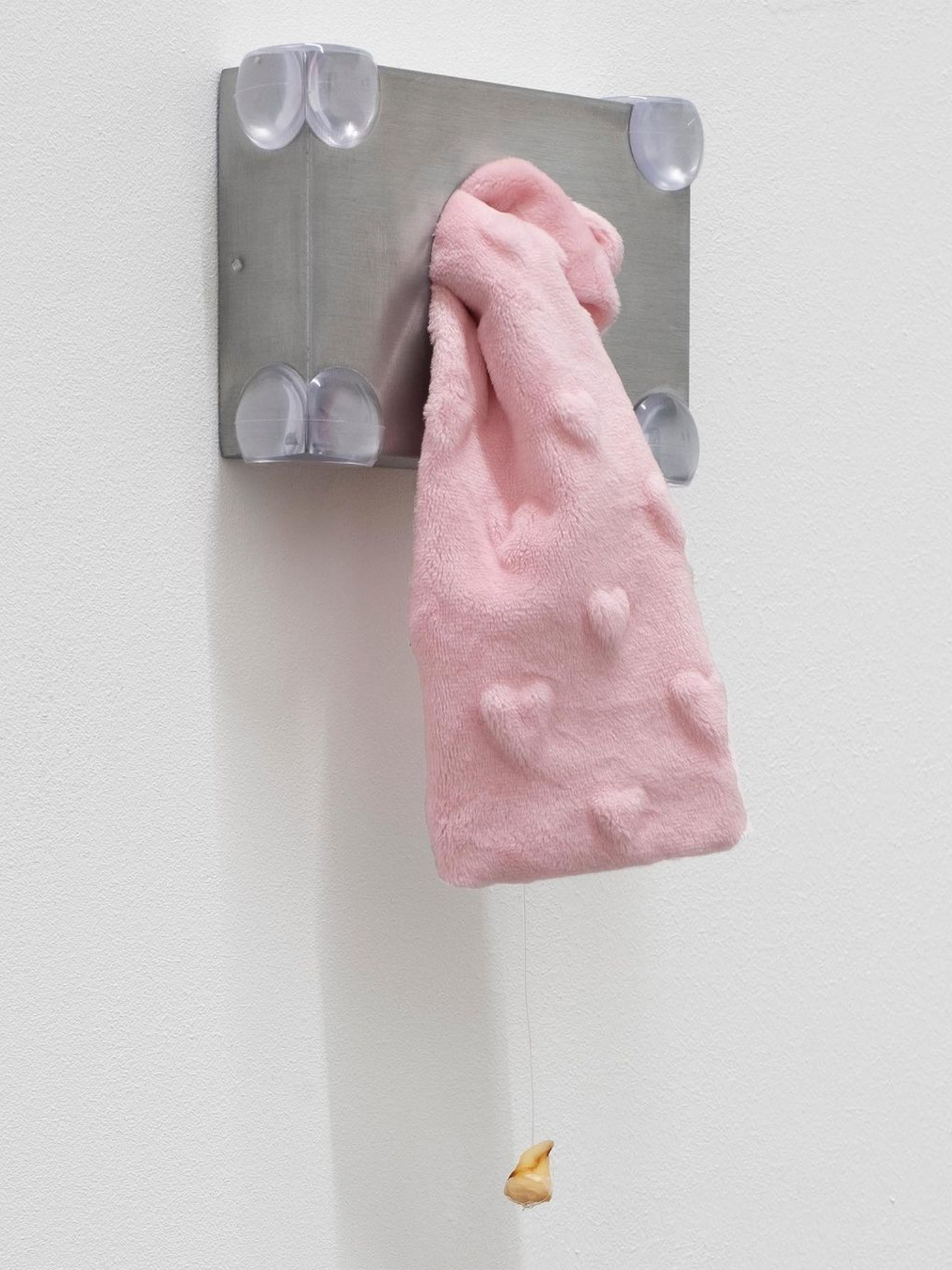 Len Bay poor little dead bird