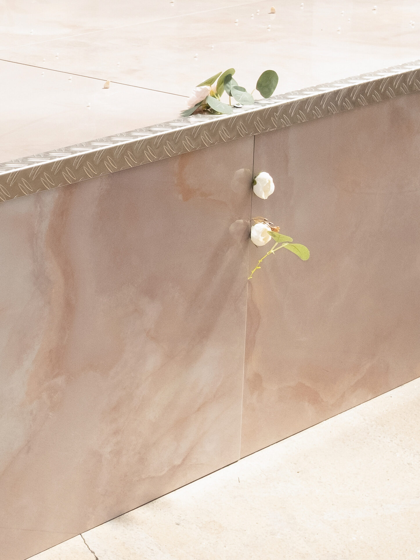 Len Bay revenge bedtime procrastination detail